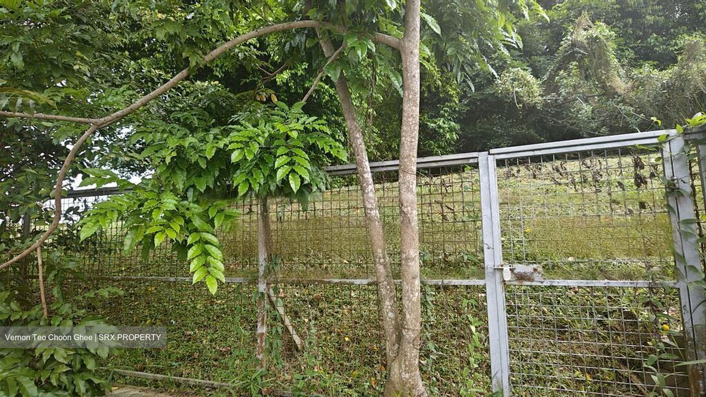 Henry Park (D10), Terrace #474494011